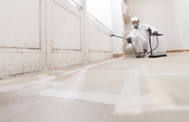 24/7 Emergency Mold Cleanup experts in The Colony, TX
