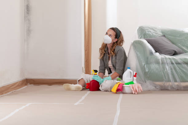 Reliable Mold Cleanup contractor in The Colony, TX by Cheap Mold Removal